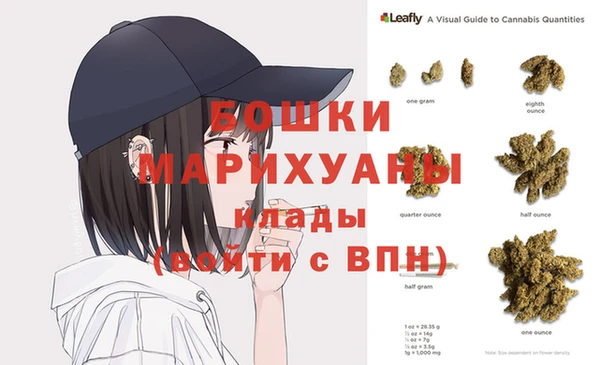 твердый Инта