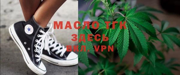 apvp Инсар