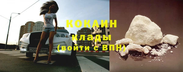 apvp Инсар