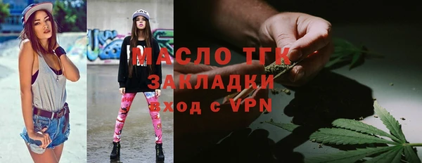 apvp Инсар