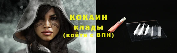 твердый Инта