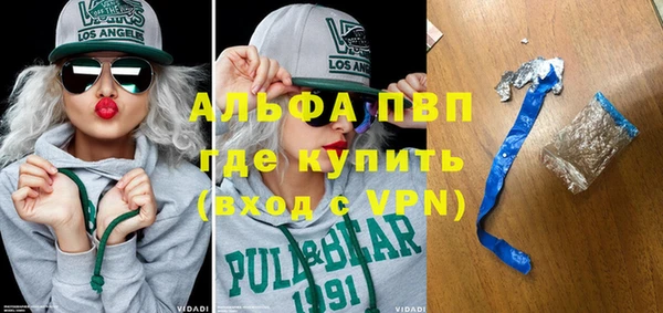 apvp Инсар
