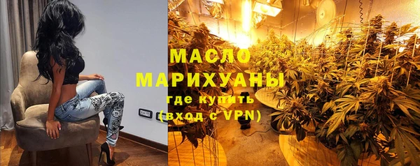 твердый Инта
