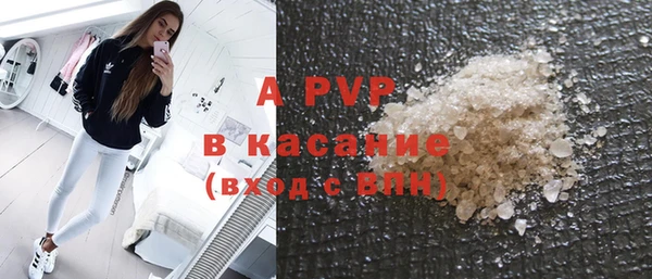 apvp Инсар