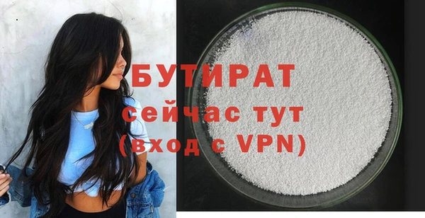 твердый Инта