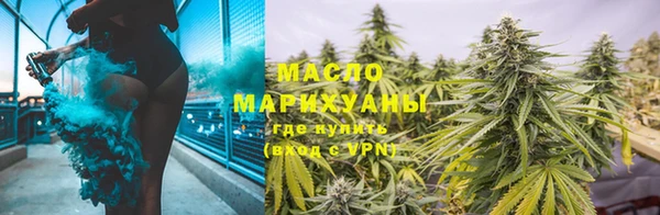 apvp Инсар