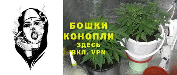 твердый Инта
