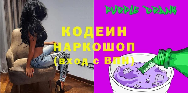 apvp Инсар