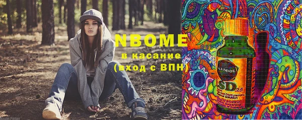 твердый Инта