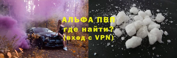 твердый Инта