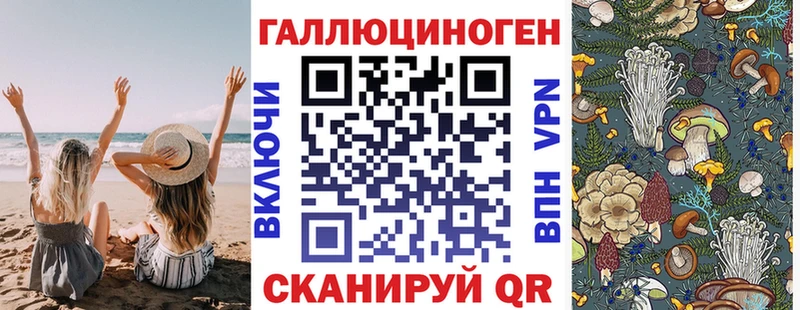 Купить  Щучье  Псилоцибиновые грибы Psilocybe 